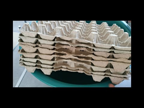 Видео: Из яичных упаковок