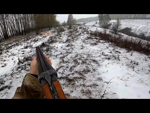 Видео: ОХОТА НА ЗАЙЦА СЛАВНАЯ БЫЛА ОХОТА ДОБЫЛИ 2 ТРОФЕЯ ТАКОГО ДАВНО НЕ БЫЛО #hunting #охота #обзор