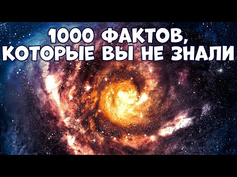 Видео: 1000 НЕВЕРОЯТНЫХ ФАКТОВ, КОТОРЫЕ ВЫ НЕ ЗНАЛИ