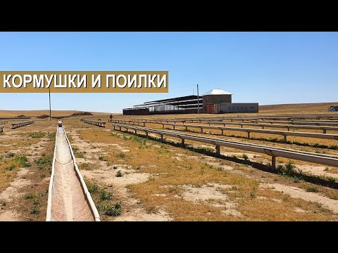 Видео: Оборудование зимнего база. Кормушки и поилки для овец. Устройство проплывной ямы. Содержание овец