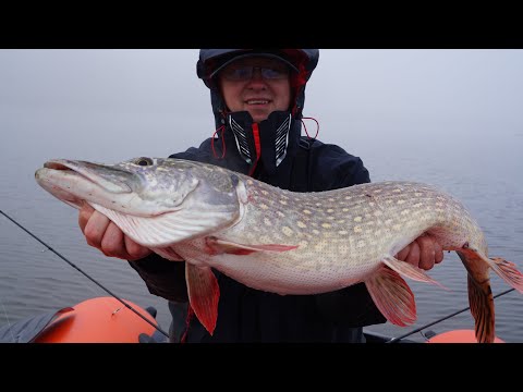 Видео: Крупные щуки в сильный туман клюют как умалишенные. Супер рыбалка с сыном.