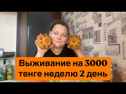 Видео: Выживание на 3000 тенге неделю. 2 день. Эксперимент в Казахстане.