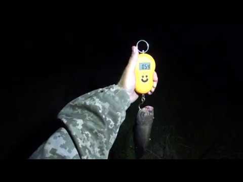 Видео: Ловля на боковий кивок в темну ніч