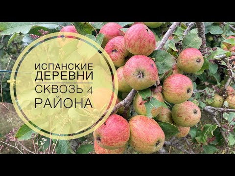 Видео: # 235 Испанские Деревни. Pandenes, San Román (Sariego). Пешком Через Четыре Района. Астурия Asturias