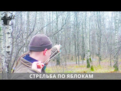 Видео: Осенние яблоки или тренажёр охотника во дворе