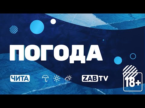 Видео: Прогноз погоды на 13 ноября 2024 года