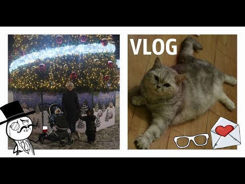 Видео: * ПРИБОЛЕЛИ * КУПИЛА НОВЫЕ ОЧКИ * КОТ ШКОДНИЧАЕТ * #P-ONLINE