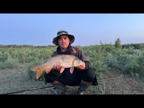 Видео: АРНАСАЙ МЕСТА ДЛЯ СЕМЕЙНОГО ОТДЫХА И РЫБАЛКИ.