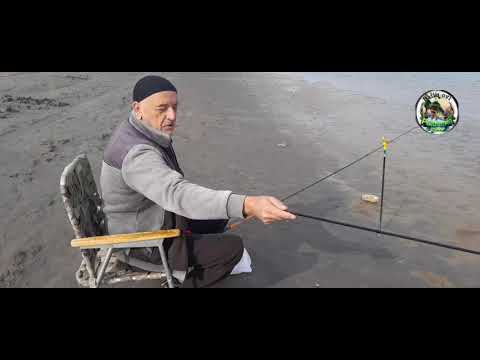 Видео: Самарканд Зарафшонда балик ови 17.11.2024йил