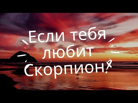 Видео: ЕСЛИ ТЕБЯ ПОЛЮБИЛ СКОРПИОН?