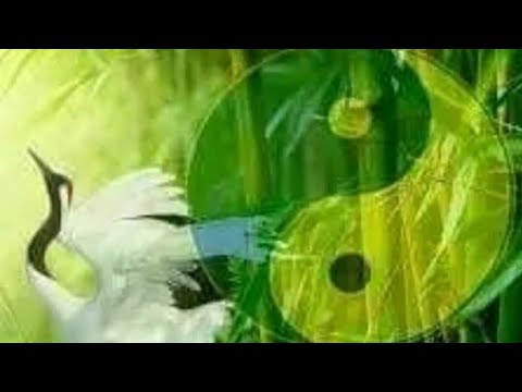 Видео: Relax ✨ Qigong в Прямом эфире! Начало Осеннего 🍁 курса 7 августа в 7.00 утра !