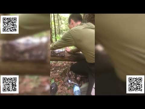 Видео: Втеча через Карпати: голод, снікерси і прорив крізь колючий дріт
