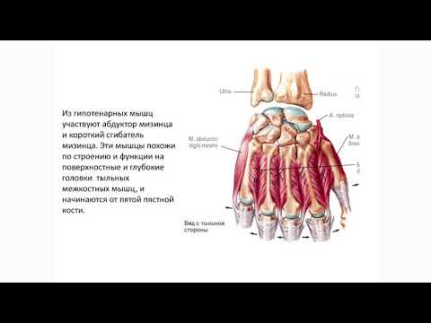 Видео: Контрактуры пальцев кисти. Глеб Микусев.