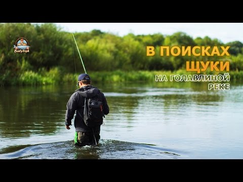Видео: В поисках щуки. На голавлиной реке (2016г.)