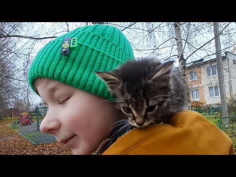 Видео: четверг с  10 #хаски