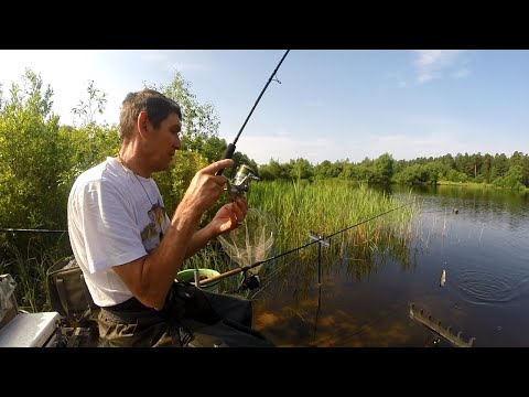 Видео: Рыбалка на Исаакиевском озере.  Весёлый клёв непонятной рыбёхи под конец рыбалки.