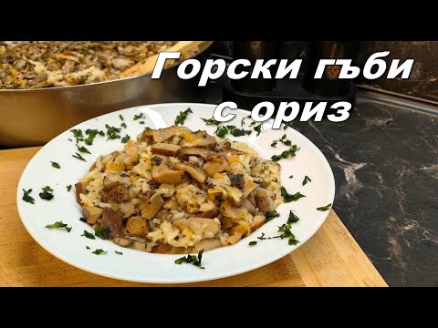 Видео: Горски гъби с ориз