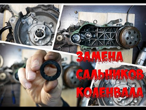 Видео: ЗАМЕНА САЛЬНИКОВ КОЛЕНВАЛА ХОНДА ДИО ТАКТ