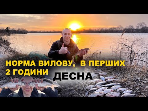 Видео: КОСЯК БІЛОЇ РИБИ🔥 ДІДИ ПОКАЗАЛИ СЕКРЕТНЕ МІСЦЕ😳 ДЕСНА, ПЛОТВА, БАТОНИ