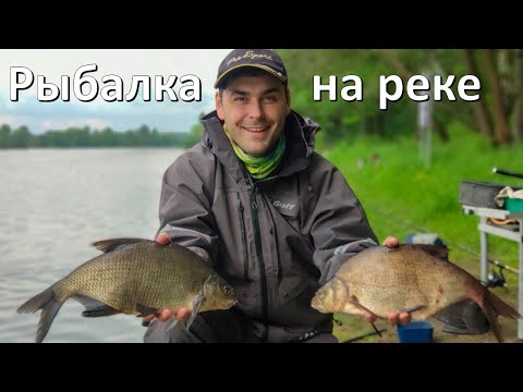 Видео: Ловля ЛЕЩА на фидер, в начале лета на реке.