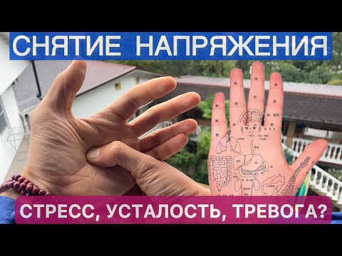 Видео: КОГДА УСТАЛ И НЕТ СИЛ - СДЕЛАЙ ЭТО! АКТИВАЦИЯ ЭНЕРГИИ ВО ВСЕМ ТЕЛЕ, The Tai Chi Complex