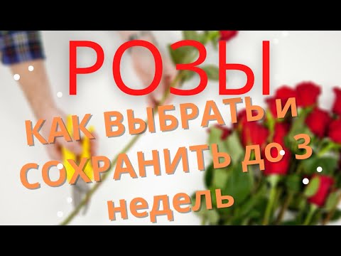 Видео: СРЕЗАННЫЕ РОЗЫ. КАК ВЫБРАТЬ И СОХРАНИТЬ ДО 3 НЕДЕЛЬ.