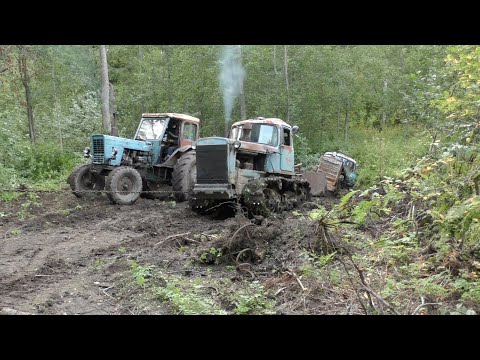 Видео: УТОНУВШИЙ Дт-75, реально ли достать застрявший трактор спустя несколько лет?? 2часть.