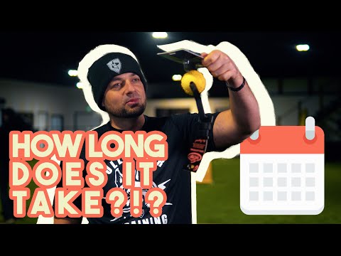 Видео: ЛУЧШИЙ график дрессировки собак