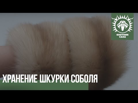 Видео: Хранение шкурки соболя