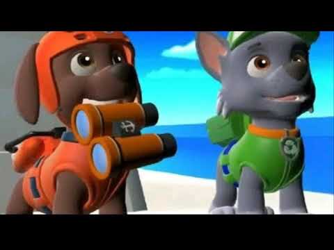 Видео: Рокки и Майя