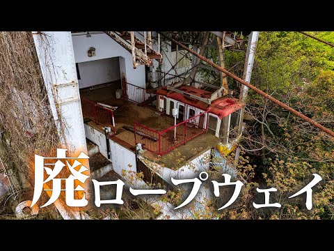 Видео: Встреча с дикой природой на заброшенной вершинной станции [канатная дорога O]