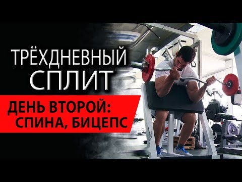 Видео: Трехдневный сплит для мужчин. День второй: спина, бицепс