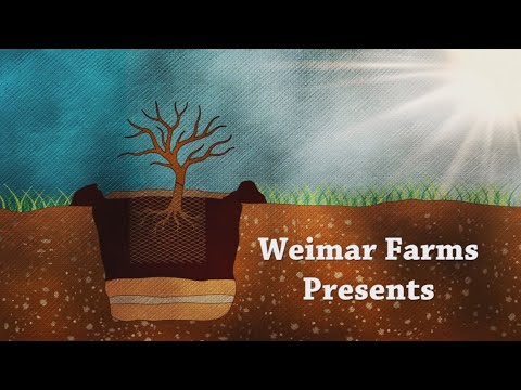 Видео: Засаждане на дървета / Дерън Грийнфийлд