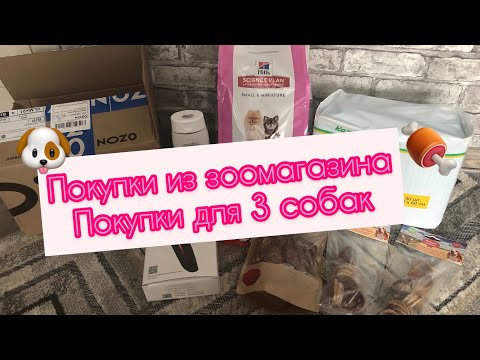 Видео: ПОКУПКИ ИЗ ЗООМАГАЗИНА ДЛЯ ЙОРКОВ