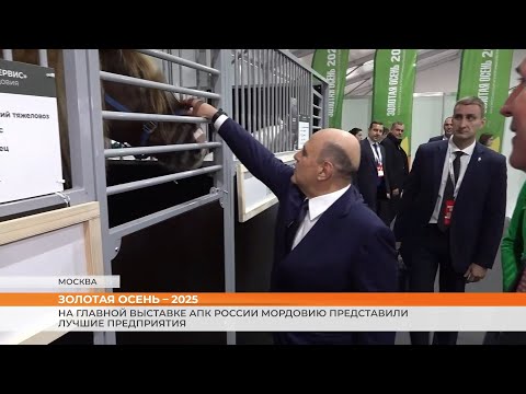 Видео: Аграрии Мордовии участвуют в выставке «Золотая осень – 2025»