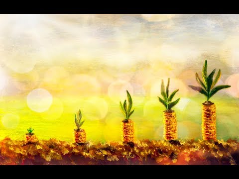 Видео: Как нарисовать ДЕНЬГИ Акрилом Мастер класс | Полные УРОКИ РИСОВАНИЯ