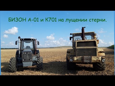 Видео: БИЗОН А-01 и К 701 на лущении стерни