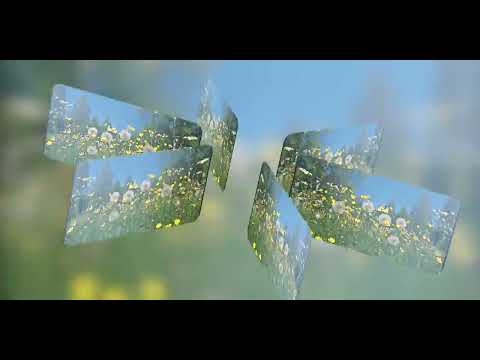 Видео: Кульбаба дід чи баба? Авторка Галина Гузовська-Корицька