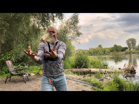 Видео: Риболовля на Десні.Фідер 🎣🐟 Пухівка. Кінець липня 2024.