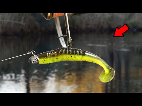 Видео: Этот крошечный пластик зажигает рыбу!?!