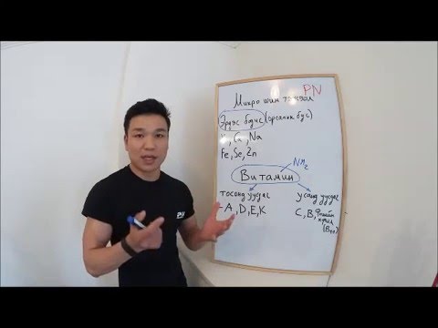 Видео: Хамтдаа формдоо орцгооё #3 буюу Микро шим тэжээл