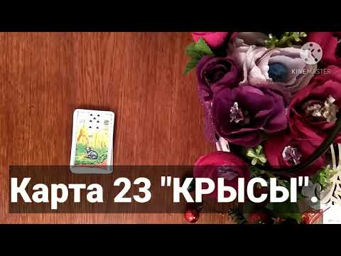 Видео: Карта 23 "КРЫСЫ". Значение и сочетания карт Ленорман. Малая колода.