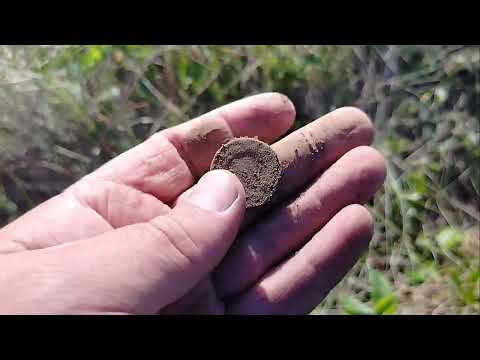 Видео: РАЗВЕДКА НОВЫХ МЕСТ! #metaldetecting #копстарины #металлокоп #коп