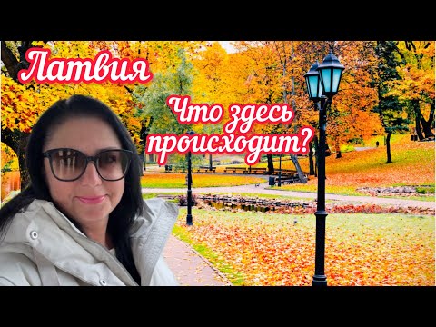 Видео: Вы уже это видели? Даже туристы в шоке от этого // Рига // Латвия @VERONIKASLIFE 