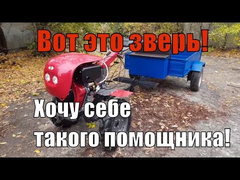 Видео: ✅Мотоблок WEIMA DELUXE WM1100BE-6 Diff (NEW) - мощность и красота😍 всё это для нашего подписчика🙏