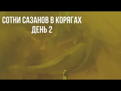 Видео: ПОДВОДНАЯ ОХОТА НА Р. АХТУБА В АПРЕЛЕ. МАГАЗИН