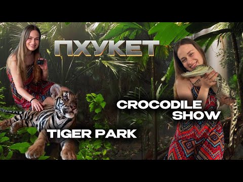 Видео: Tiger Park Phuket | Crocodile show Phuket | Лучший парк тигров на Пхукете! Шоу крокодилов Пхукет