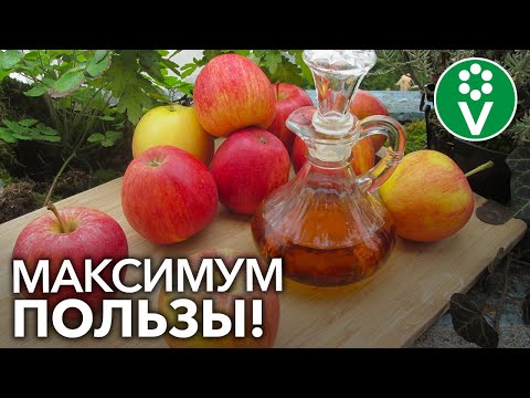 Видео: СЕКРЕТЫ ПРИГОТОВЛЕНИЯ ЯБЛОЧНОГО УКСУСА. Эти нюансы сделают УКСУС полезным и вкусным!