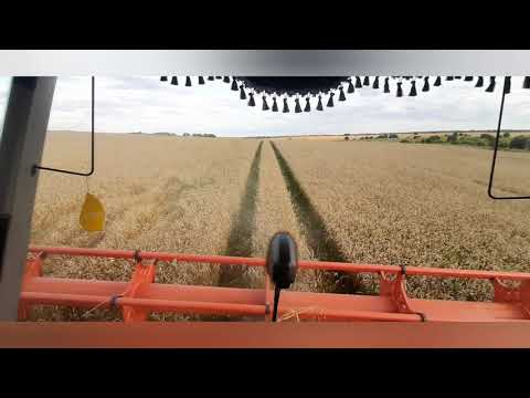 Видео: CLAAS TUCANO 580.продолжаем уборку пшеници