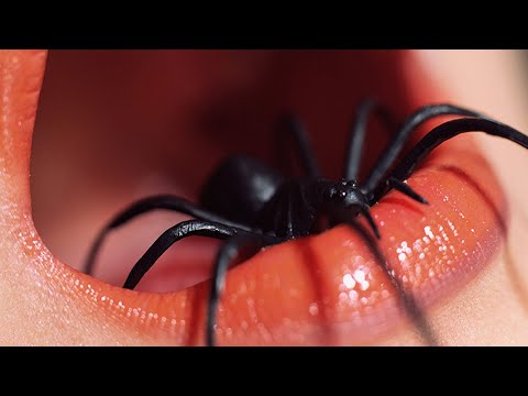 Видео: Страшные угощения на Хэллоуин: рецепты для вечеринки